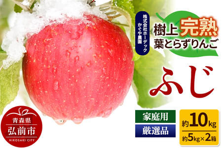 yr[Ly[zy25N11`z ӂ 10kgi5kg×2j ㊮ntƂ炸yƒpzIi XY 