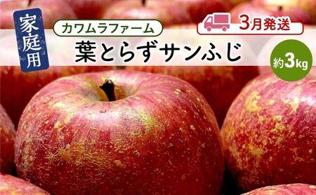 りんご [3月発送]カワムラファーム 家庭用 葉とらず サンふじ 約3kg [弘前市産 青森りんご] 青森 弘前 果物類 フルーツ 林檎 リンゴ 弘前市 青森県 おやつ デザート