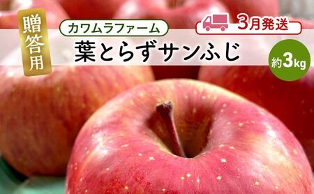 りんご [3月発送]カワムラファーム 贈答用 葉とらず サンふじ 約3kg [ 弘前市産 青森りんご ] 青森 弘前 果物類 フルーツ 林檎 リンゴ 弘前市 青森県 おやつ デザート