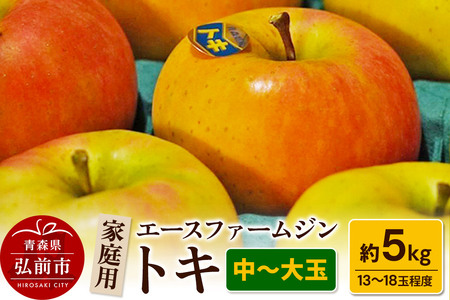 [レビューキャンペーン][25年9月〜発送]りんごトキ 家庭用 約5kg(中玉〜大玉13〜18玉程度)[先行受付] 青森 果物 フルーツ 林檎 リンゴ くだもの 予約