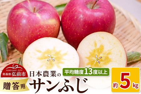 y25N11`z ϓx13xȏI Tӂ 5kg p ystz X ʕ t[c ь S  \