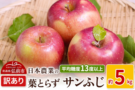 yr[Ly[zy25N11`z ϓx13xȏI tƂ炸Tӂ 5kg 󂠂ystz X ʕ t[c ь S  s KiO \