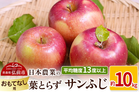 【25年11月～発送】りんご 平均糖度13度以上！ 葉とらずサンふじ 約10kg おもてなし用【先行受付】