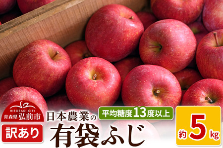 りんご [先行受付]平均糖度13度以上! 有袋ふじ 約5kg 訳あり CA貯蔵 クール便