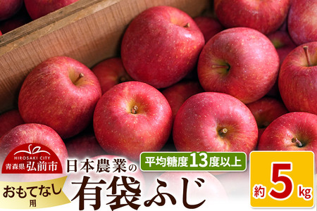 りんご [先行受付]平均糖度13度以上! 有袋ふじ 約5kg おもてなし用 CA貯蔵 クール便