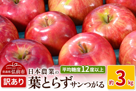 [レビューキャンペーン][25年9月〜発送]りんご 平均糖度12度以上! 葉とらずサンつがる 約3kg 訳あり クール便[先行受付] 青森 果物 フルーツ 林檎 リンゴ くだもの 不揃い 規格外 予約