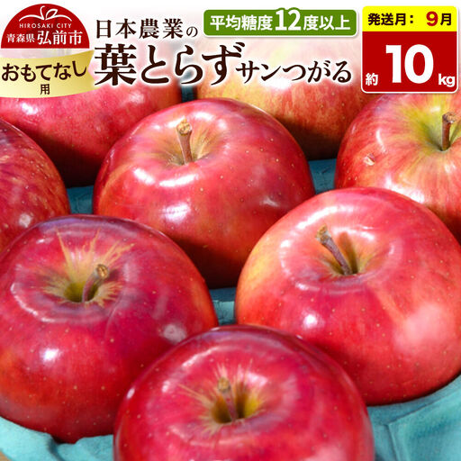 【26年9月クール便発送】りんご 葉とらずサンつがる【おもてなし用】約10kg 平均糖度12度以上 青森県産 果物 フルーツ 林檎 リンゴ くだもの