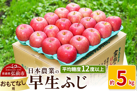 りんご [先行受付]平均糖度12度以上! 早生ふじ 約5kg おもてなし用