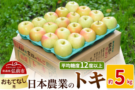 りんご [先行受付]平均糖度12度以上! トキ 約5kg おもてなし用
