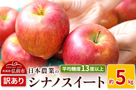 りんご [先行受付]平均糖度13度以上! シナノスイート 約5kg 訳あり
