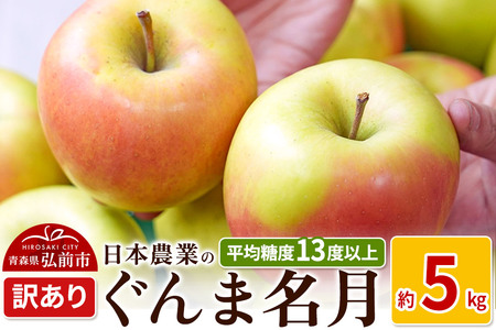 りんご [先行受付]平均糖度13度以上! ぐんま名月 約5kg 訳あり
