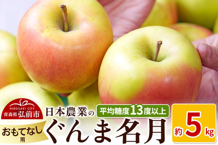 りんご [先行受付]平均糖度13度以上! ぐんま名月 約5kg おもてなし用