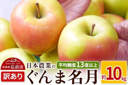 【25年11月～発送】りんご 平均糖度13度以上！ ぐんま名月 約10kg 訳あり【先行受付】