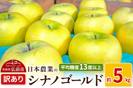 りんご [先行受付]平均糖度13度以上! シナノゴールド 約5kg 訳あり