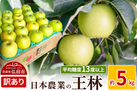 りんご [先行受付]平均糖度13度以上! 王林 約5kg 訳あり