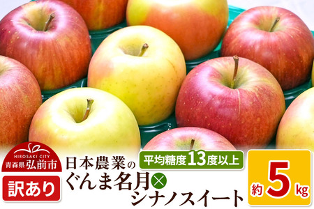 りんご [先行受付] 平均糖度13度以上! ぐんま名月×シナノスイート 約5kg 訳あり