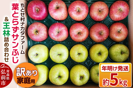[26年1月〜発送]りんご 葉とらずサンふじ & 王林 詰め合わせ 約5kg 家庭用 訳あり ちとせ村