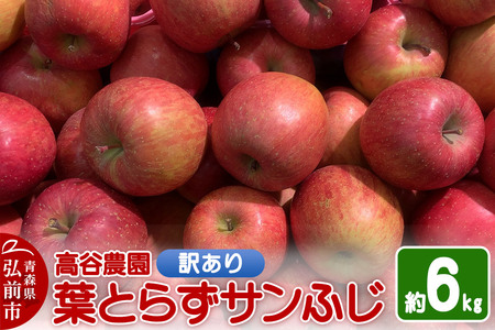 [レビューキャンペーン][25年11月〜発送]りんご 高谷農園[訳あり]葉とらずサンふじ 約6kg