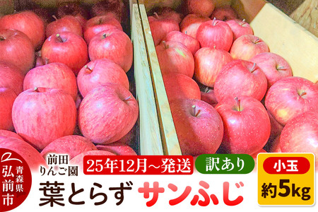 [レビューキャンペーン][25年12月発送]りんご[訳あり]葉とらず サンふじ 約5kg 小玉 前田りんご園