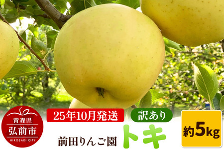 [レビューキャンペーン][25年10月発送]りんご[訳あり]トキ 約5kg 前田りんご園