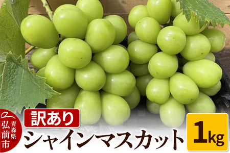 [レビューキャンペーン][25年9月〜発送] [訳あり] シャインマスカット1kg[先行受付] ぶどう フルーツ 果物 ブドウ 葡萄 グレープ くだもの 産地直送