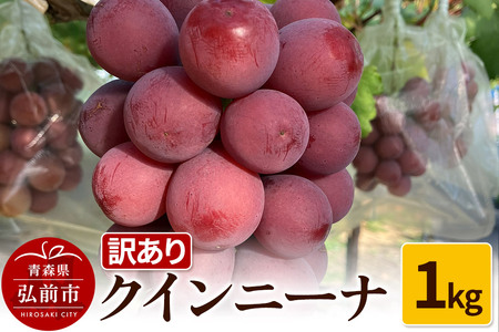 [レビューキャンペーン][25年9月〜発送] [訳あり] クインニーナ 1kg[先行受付] ぶどう フルーツ 果物 ブドウ 葡萄 グレープ くだもの 産地直送