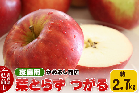 yr[Ly[zy25N9z tƂ炸 yƒpz2.7kg S[h_