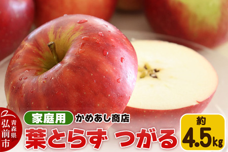 yr[Ly[zy25N9z tƂ炸 yƒpz4.5kg S[h_