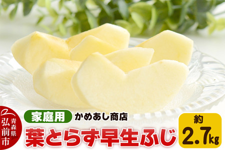 yr[Ly[zy25N10z tƂ炸 ӂyƒpz2.7kg S[h_