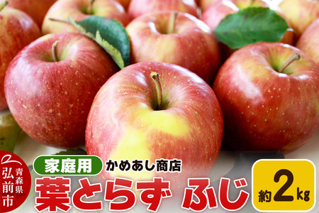yr[Ly[zy25N11z tƂ炸 ӂyƒpz2kg S[h_