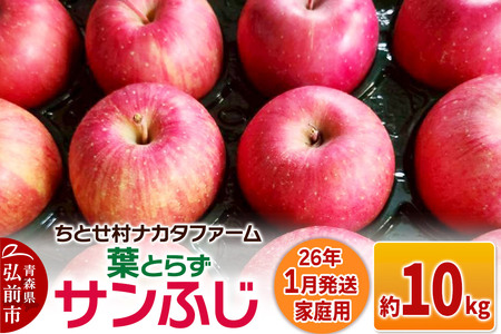 y26N1z񂲁yƒpzt炸Tӂ 10kg