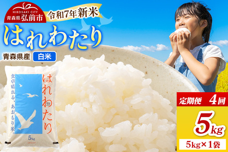 y25N11zߘa7NY VĎts4t XOOsY ͂킽yāz5kgi5kg×1܁j