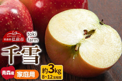 [26年11月発送]りんご 千雪 約3kg(8〜12玉程度)家庭用 toki farm 林檎 アップル 果実 果物 美味