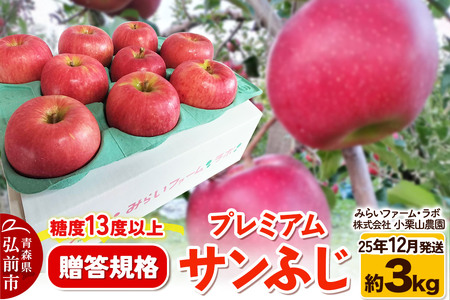 y25N12z x13xȏyKizv~A Tӂ 3kg