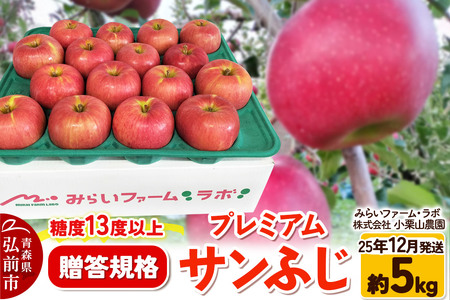 y25N12z x13xȏyKizv~A Tӂ 5kg