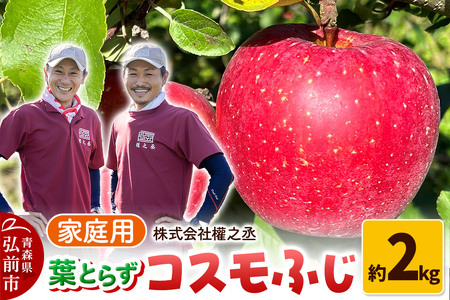 y25N11oׁz ܔV tƂ炸 RXӂ ƒp 2kgyOOsYEX񂲁z