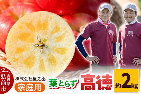 y25N11oׁzܔV tƂ炸  iƂj ƒp 2kgyOOsYEX񂲁z