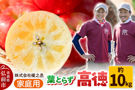 y25N11oׁzܔV tƂ炸  iƂj ƒp 10kgyOOsYEX񂲁z