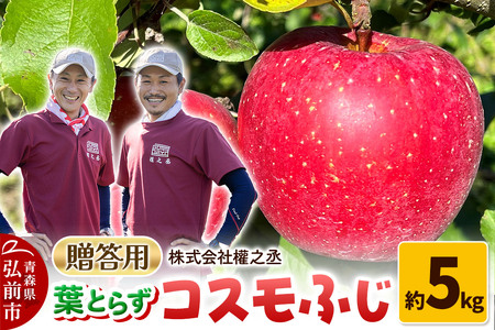 y25N11oׁz ܔV tƂ炸 RXӂ p 5kgyOOsYEX񂲁z