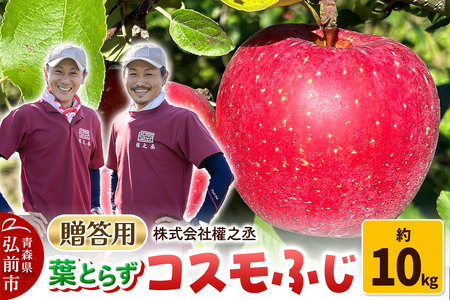 y25N11oׁz ܔV tƂ炸 RXӂ p 10kgyOOsYEX񂲁z