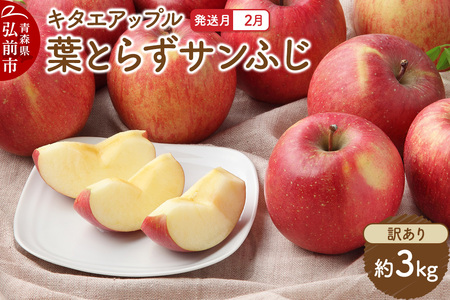 y26N2z t炸Tӂy󂠂z3kg L^GAbv