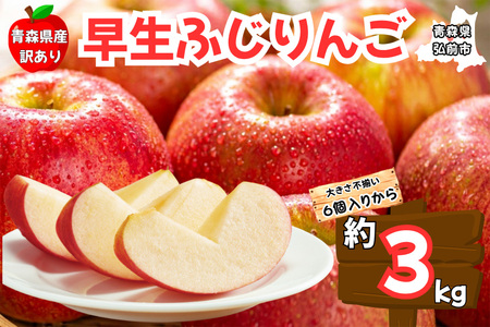 [25年10月〜発送]りんご[訳あり ご家庭用]早生ふじ 3kg 青森県産 青森 果物 フルーツ 林檎 リンゴ くだもの