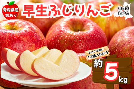 y25N10`z񂲁y󂠂 ƒpzӂ 5kg XY X ʕ t[c ь S 