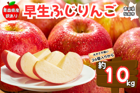 y25N10`z񂲁y󂠂 ƒpzӂ 10kg XY X ʕ t[c ь S 