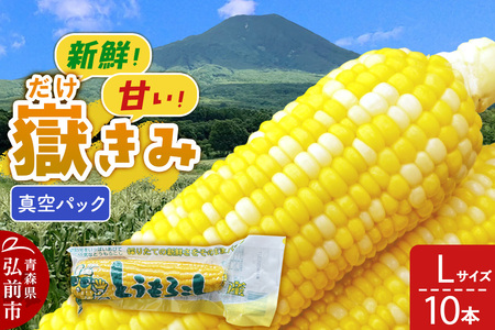 Ԃݐ^pbN LTCY 10{ 炩݃{