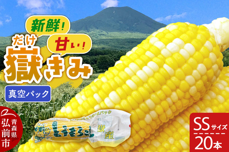 Ԃݐ^pbN SSTCY 20{ 炩݃{