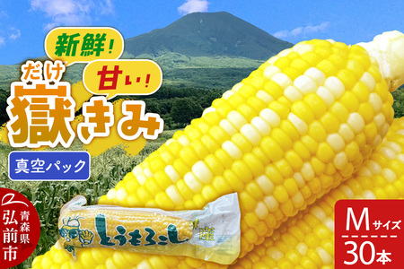 Ԃݐ^pbN MTCY 30{ 炩݃{