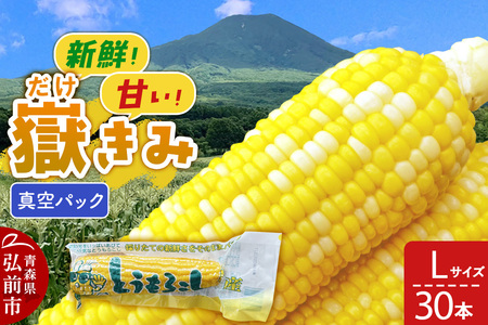 Ԃݐ^pbN LTCY 30{ 炩݃{