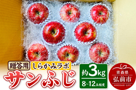 [25年12月〜発送]りんご サンふじ 贈答用 約3kg しらかみラボ