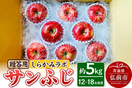 y25N12`z Tӂ p 5kg 炩݃{